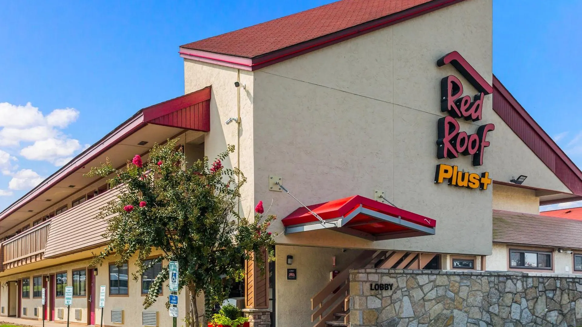 Staying Near Cedar Hill Park: 5 Budget Hotels Compared
