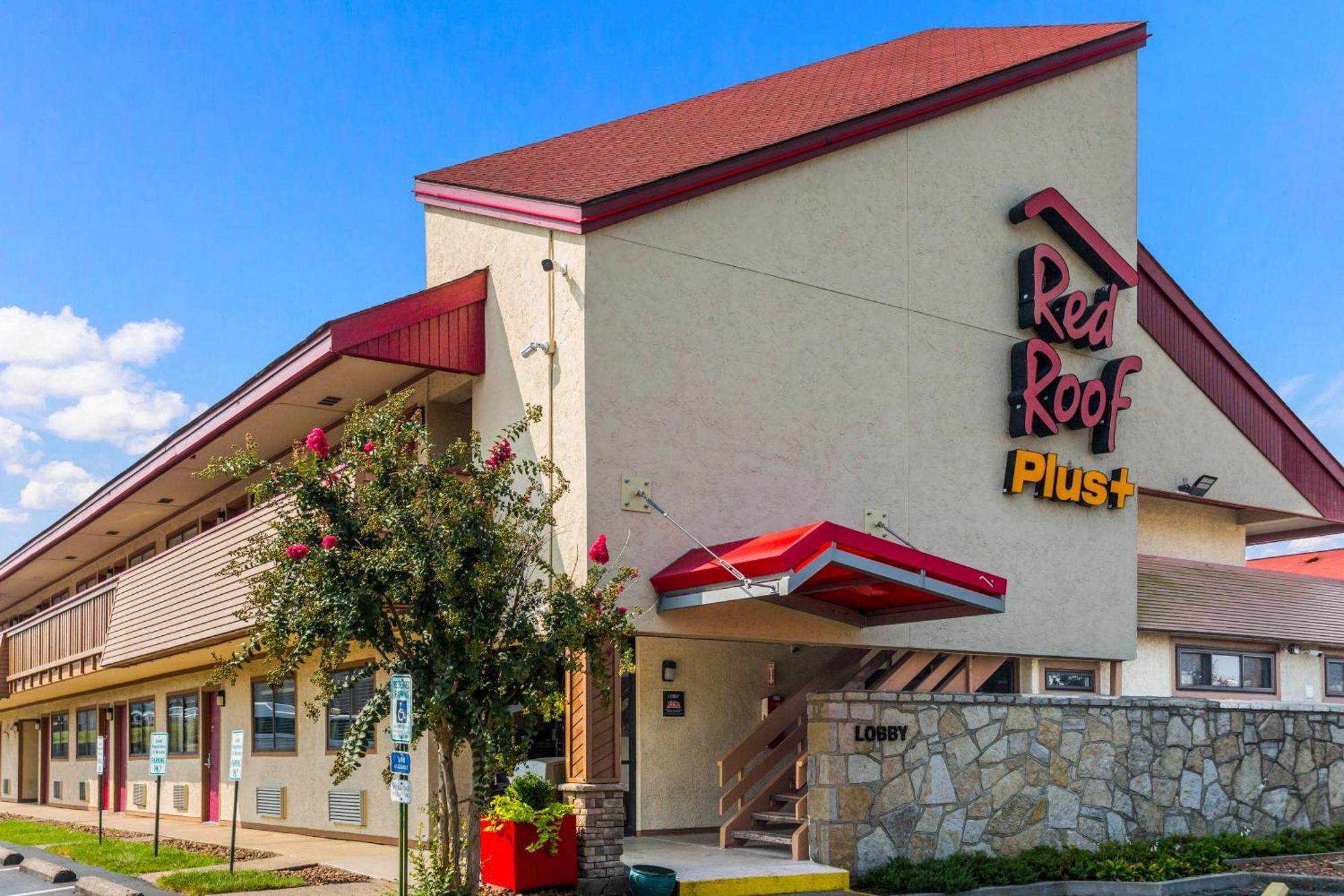 Staying Near Cedar Hill Park: 5 Budget Hotels Compared